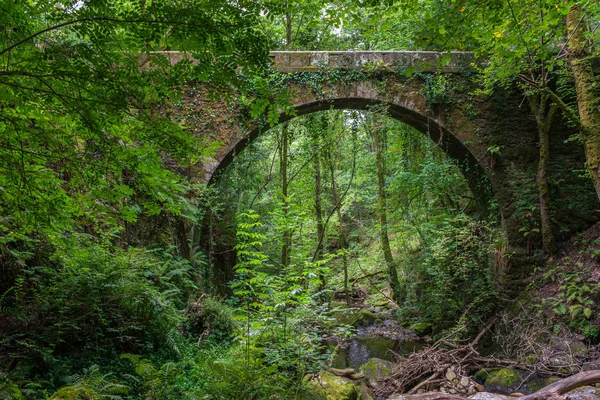 Taş köprünün kemeri Fragas do Eume nehrinin üzerinde.