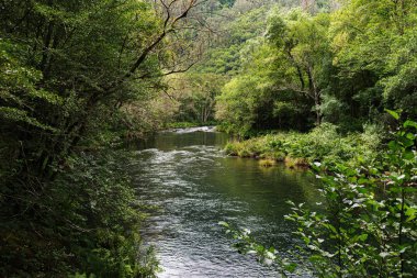Fragas do Eume Parkı 'ndaki Eume Nehri