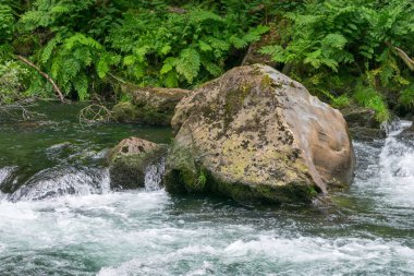 Fragas do Eume Parkı 'ndaki Eume Nehri