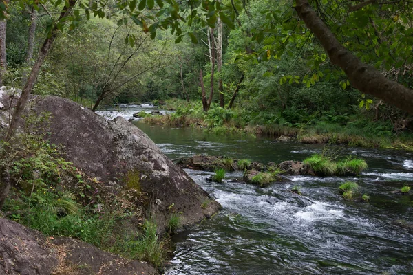 Río Eume en el parque Fragas do Eume — Foto de Stock