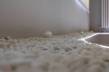 Zen zemin küçük beyaz taşlarla süslenmiş.