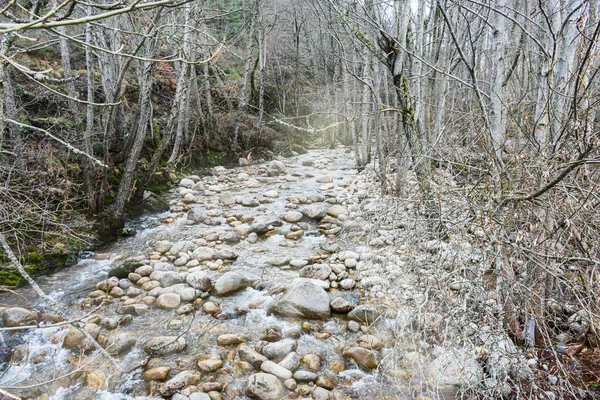 Cama de um rio de montanha cheio de pedras — Fotografia de Stock