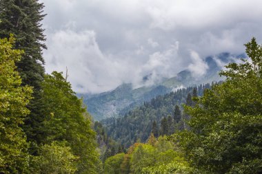 Abhazya 'da yol boyunca güzel dağlar