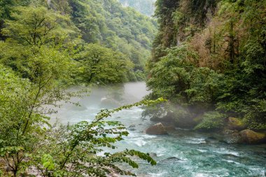 Güneşli bir yaz gününde, Ritsa Gölü yolundaki Abhazya dağlarında parlak mavi renkli güzel dağ nehirleri. Dağ vadisi.