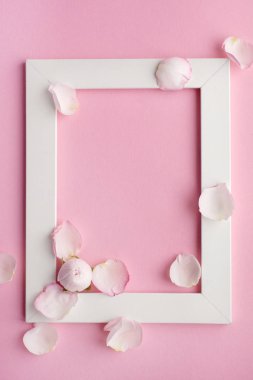 Gül goncası, narin yapraklar, pembe arka planda beyaz çerçeve. Çiçek aranjmanı. Sevgililer günü, kadınlar günü, anneler günü, düğün. Yukarıdan görünüşü