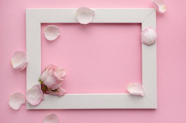 Güzel bir gül, narin yapraklar, pembe arka planda beyaz bir çerçeve. Çiçek aranjmanı. Sevgililer günü, kadınlar günü, anneler günü, düğün. Yukarıdan görünüşü