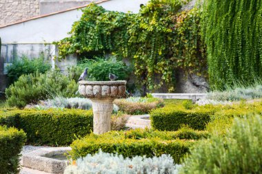 Fransa 'nın Nice kentindeki Cimiez tepesindeki manastırdaki çeşmede iki güvercin..