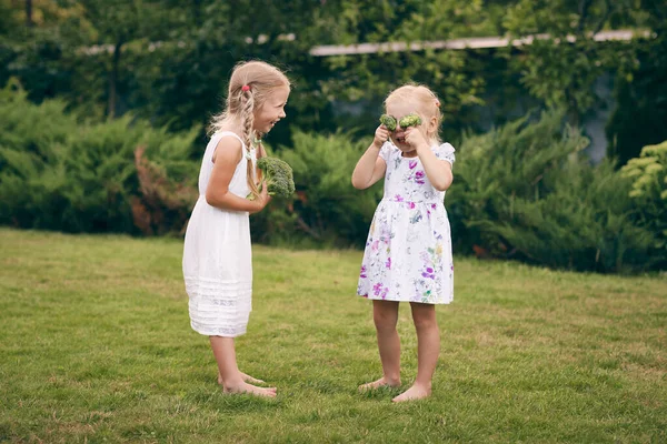 Dos Niñas Sarafanes Coletas Jardín Verde Están Sosteniendo Brócoli Sus —  Fotos de Stock