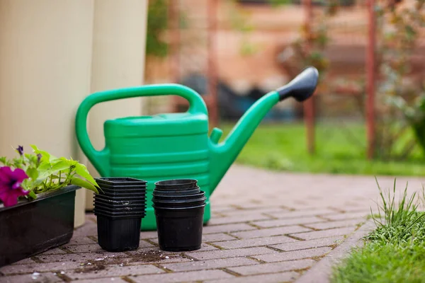 Una Regadera Verde Macetas Contenedor Flores Están Camino Jardín —  Fotos de Stock