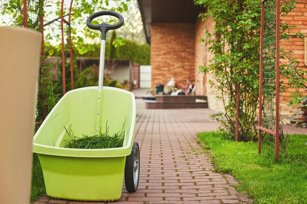 Main Jette Herbe Fraîchement Tondue Dans Brouette Jardin — Photo