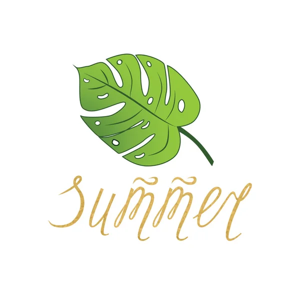 Summer vector hand drawn lettering element and tropical leave monstera — Stock Vector