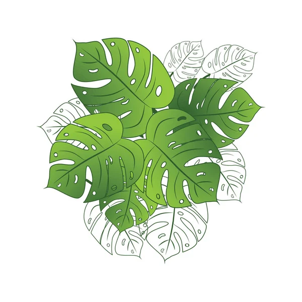 Schöner tropischer Vektorstrauß auf Weiß. Grüne Monsterblätter. — Stockvektor