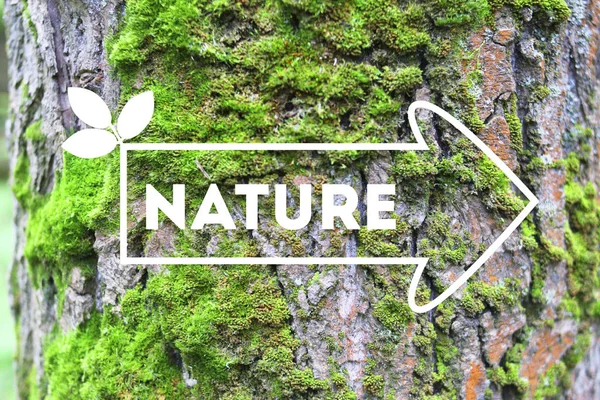 Надпись Nature Arrow Tree Bark Background Living Green Plant Концепция — стоковое фото