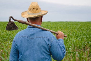 Farmer stands in the field holding hoe