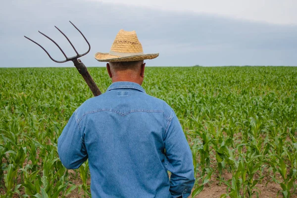 Rolnik z widłami stojący na polu — Zdjęcie stockowe