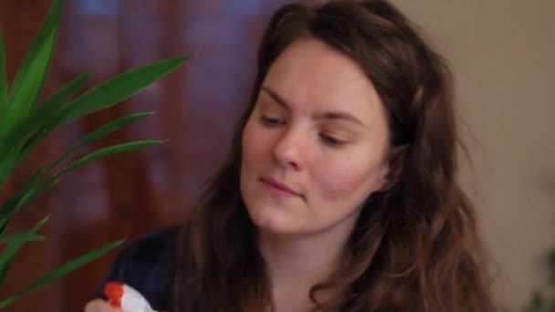Žena Rozstřikuje Kytky Interiér Městské Džungle Zavlažování Květin — Stock video