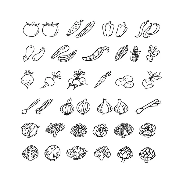 Vegetables hand drawn icon set in line styl — Stock Vector