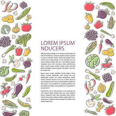 Elle çizilmiş sebze, düz stil ile tarım flyer şablonu