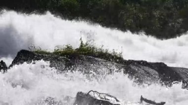 Yaz aylarında nehir dağ, şelale