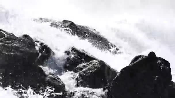 Wodospad rzeki górskie latem — Wideo stockowe