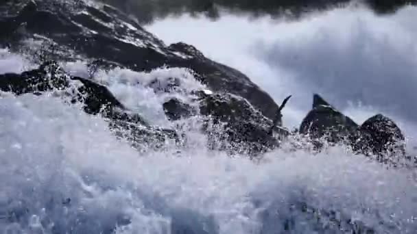 Waterval op de rivier van de berg in de zomer — Stockvideo