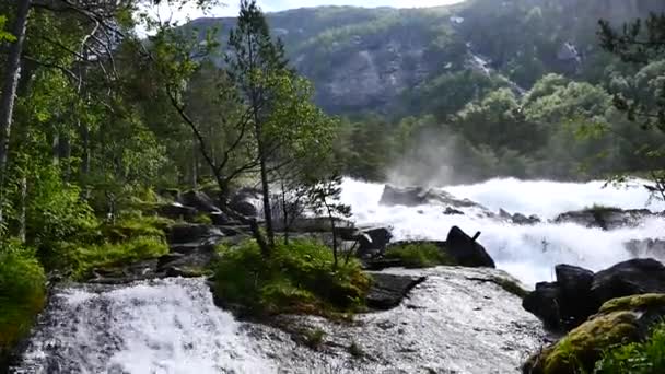 Waterfall at mountain river in summer — Stock Video