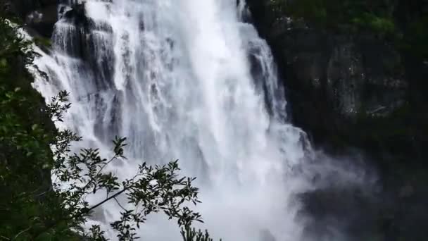 Cascata sul fiume di montagna in estate — Video Stock