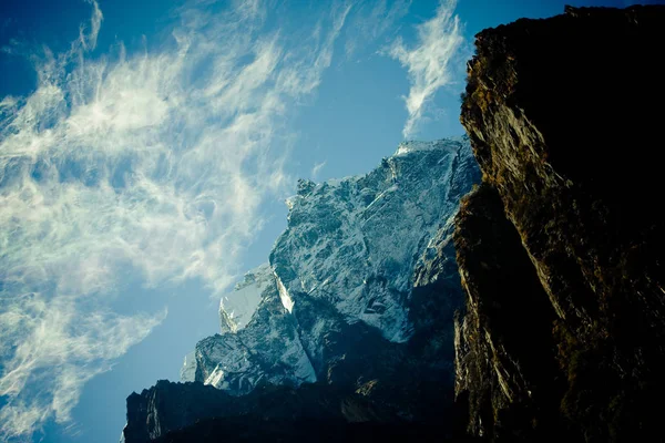 Forest in mountains valley Himalayas — Stock Photo, Image