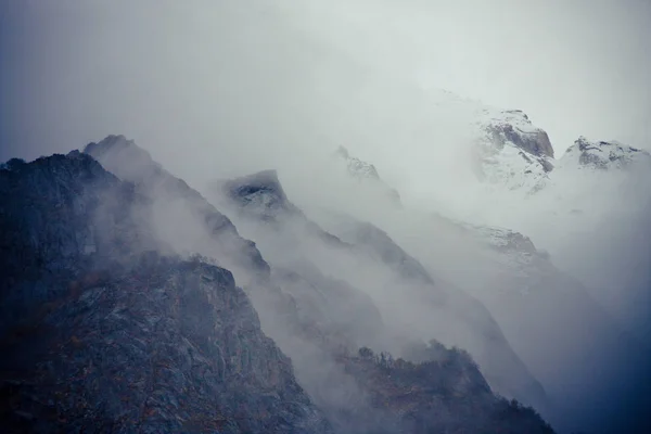 在森林山雾谷喜马拉雅山 — 图库照片