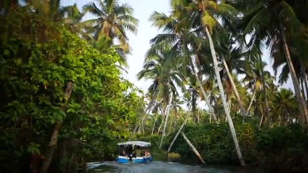 Barco y palmera remanso en India Timelapse — Vídeo de stock