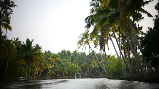 Palmiye ağacı ve gökyüzü günbatımı Kerala Hindistan — Stok video