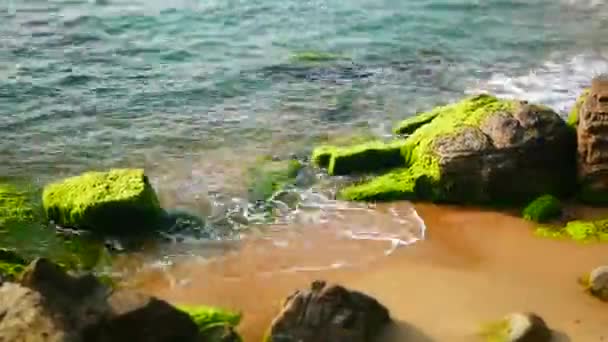 바다 해안 파도와 바위 — 비디오