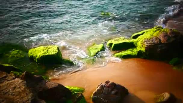 Costa del océano con olas y rocas — Vídeos de Stock