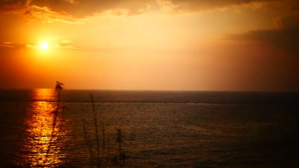 Orange solnedgången över havet — Stockvideo