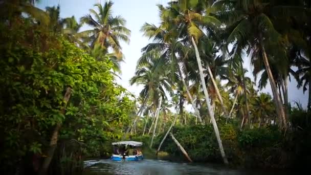 Båt och palm träd backwater i Indien Timelapse — Stockvideo