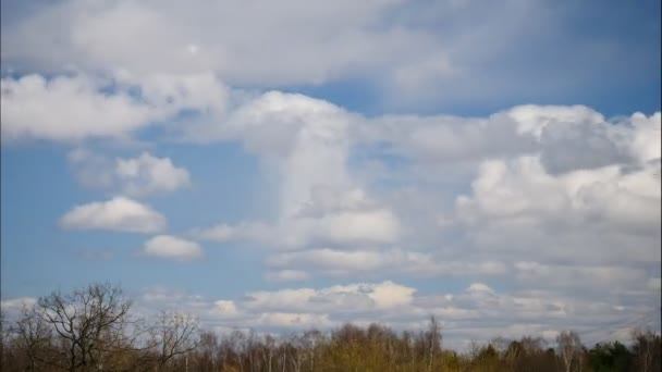 Tijd Lapse Sky en bewegende wolken elektriciteitscentrale pijp met rook Letland 4k — Stockvideo