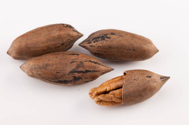 Beyaz arka planda izole edilmiş fındık