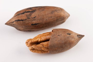 Beyaz arka planda izole edilmiş fındık