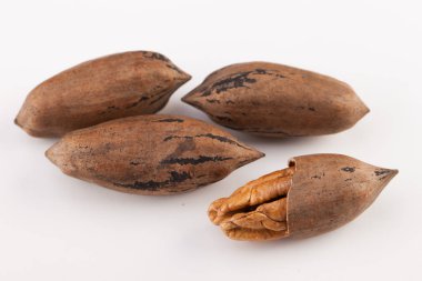 Beyaz arka planda izole edilmiş fındık