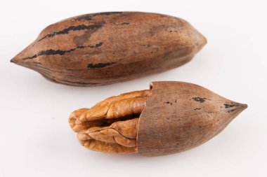 Beyaz arka planda izole edilmiş fındık