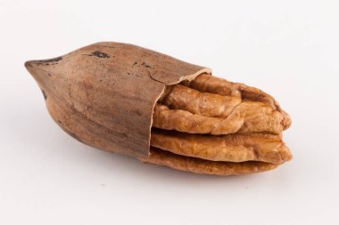 Beyaz arka planda izole edilmiş fındık