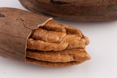 Beyaz arka planda izole edilmiş fındık