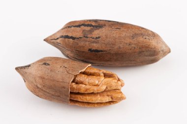 Beyaz arka planda izole edilmiş fındık