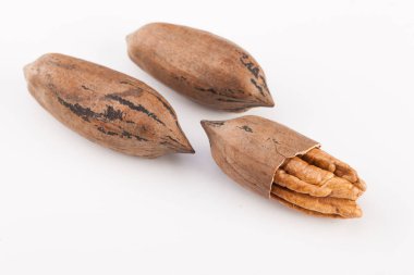 Beyaz arka planda izole edilmiş fındık