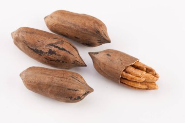 Beyaz arka planda izole edilmiş fındık