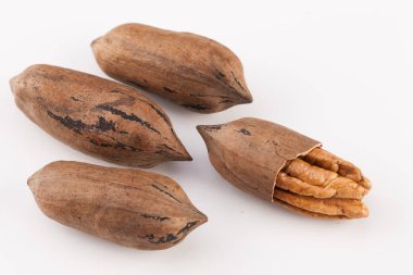 Beyaz arka planda izole edilmiş fındık