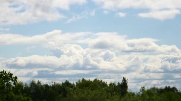 Ώρα λήξη ουρανό και μετακίνηση σύννεφα Λετονία ισχύος 4k — Αρχείο Βίντεο