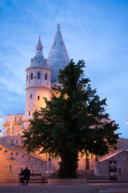 Gece görünümü yeşil ağaç ve eski kule Budapeşte Macaristan