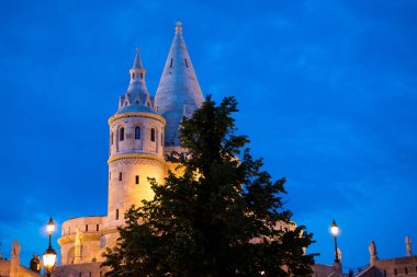 Gece görünümü yeşil ağaç ve eski kule Budapeşte Macaristan