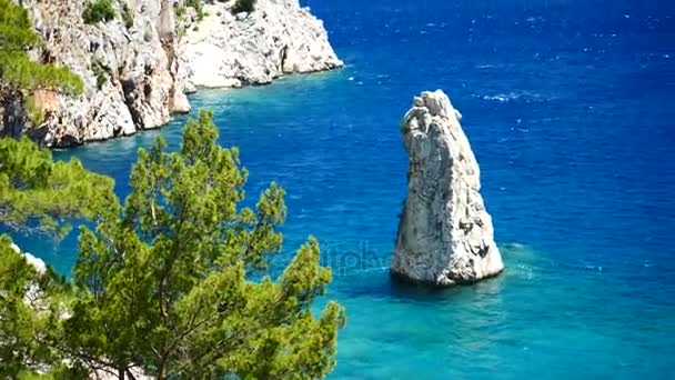 Pinheiro com fundo azul mar Turquia — Vídeo de Stock